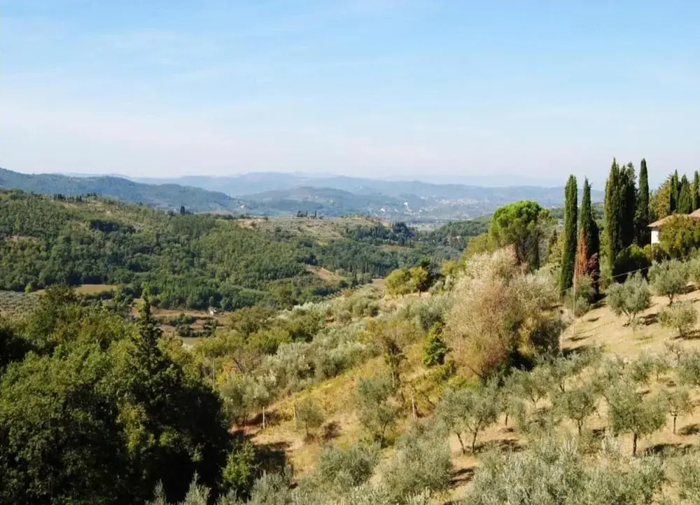 Snug Mobile Home in Toscana With Garden