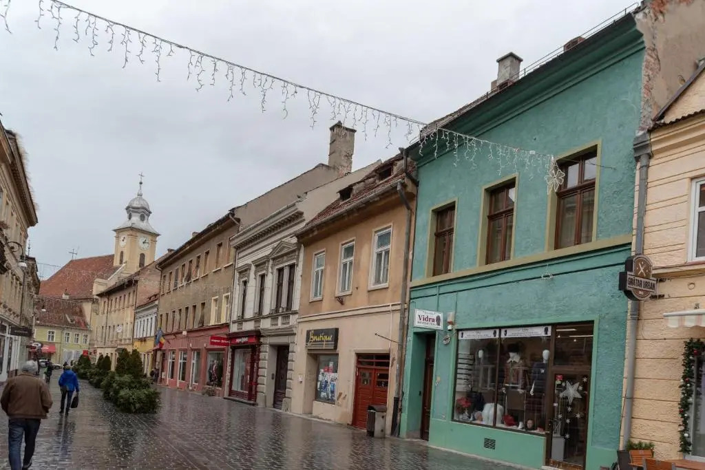 Casa Verde Brasov Flat 1