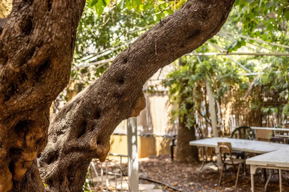 Cozy Charm STU Haifa CTR by Sea N' Rent