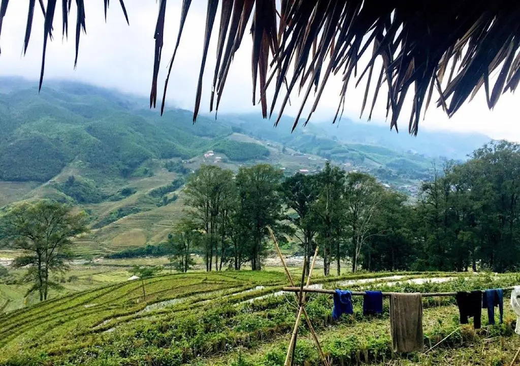 Sapa Hmong Bungalow Homestay