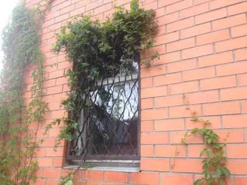 Olginka Guest House