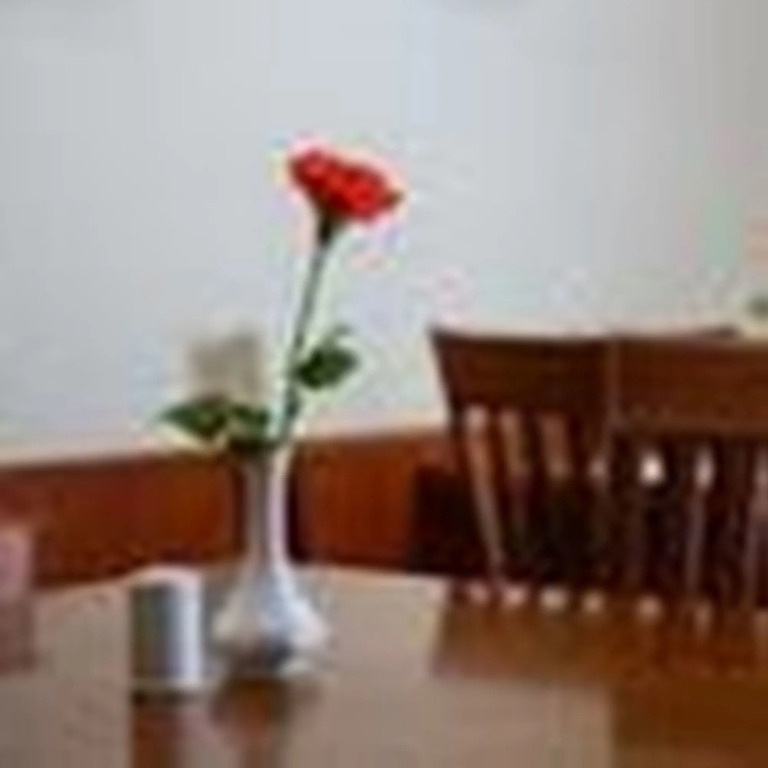 One Star Hotel