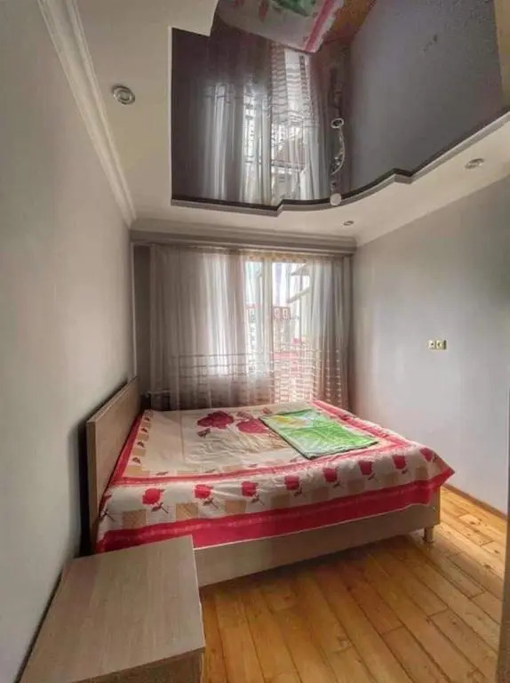 Apartment Dolphin