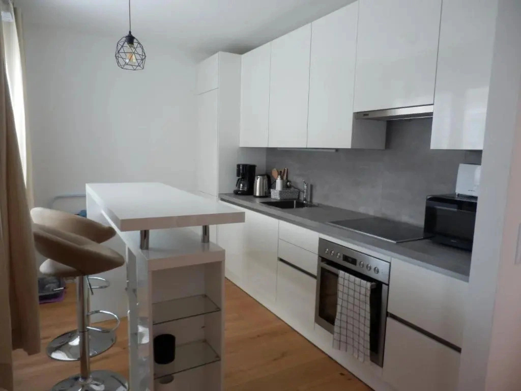 Spacious, Modern 1-bdrm Apt near VIC & Austria Ctr