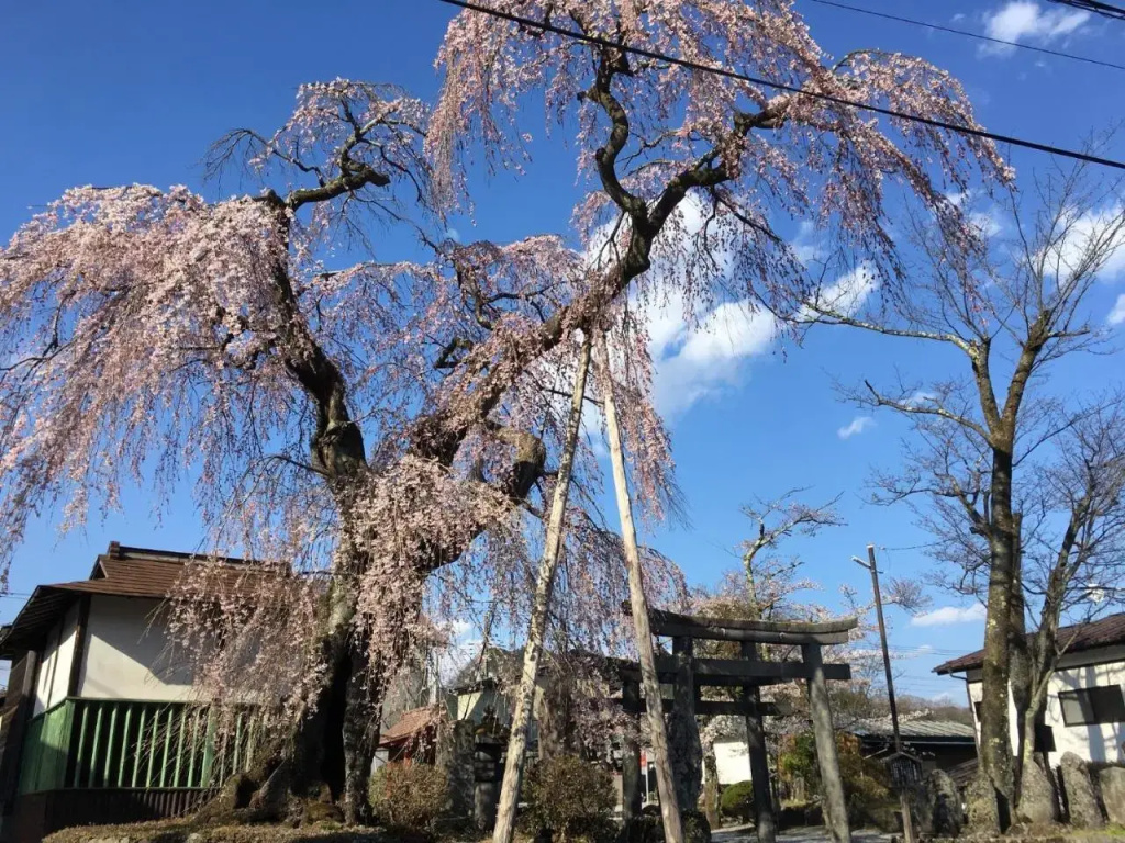 Nikko - House / Vacation STAY 40938