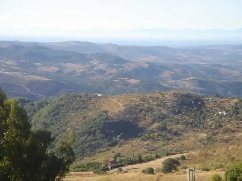 Caballo Andaluz