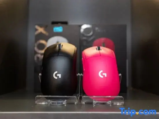 Netfish E-sports Hotel (Shanghai Tongji Hospital Xincun Road Subway Station Branch)