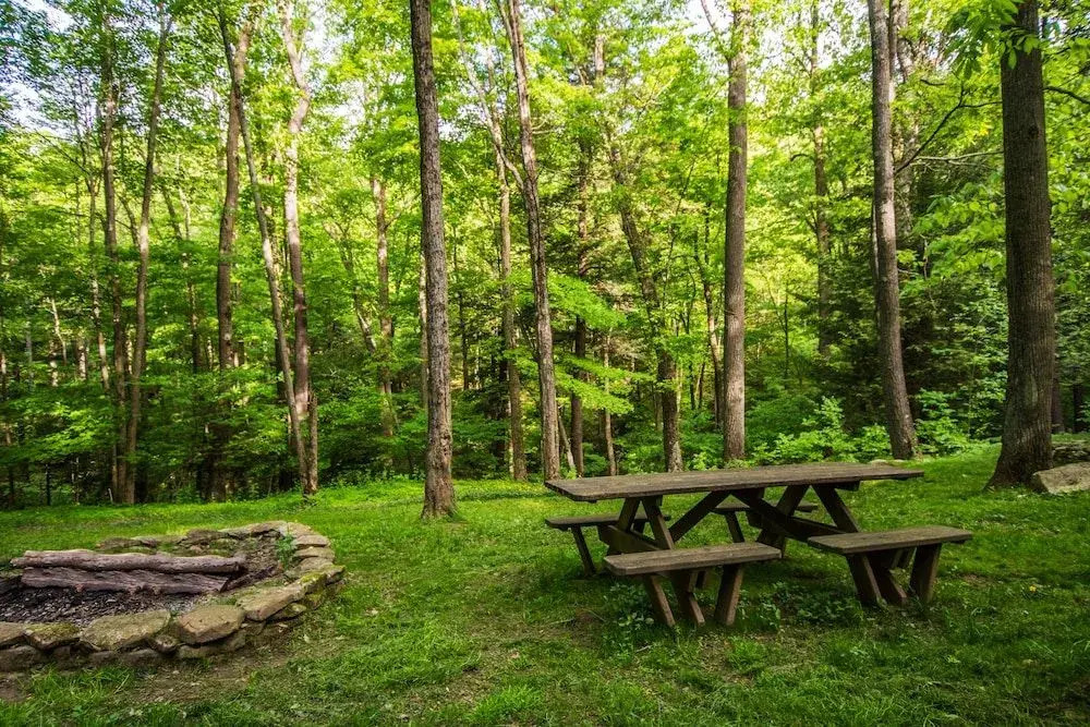 Bearbnb by Taylor Made Deep Creek