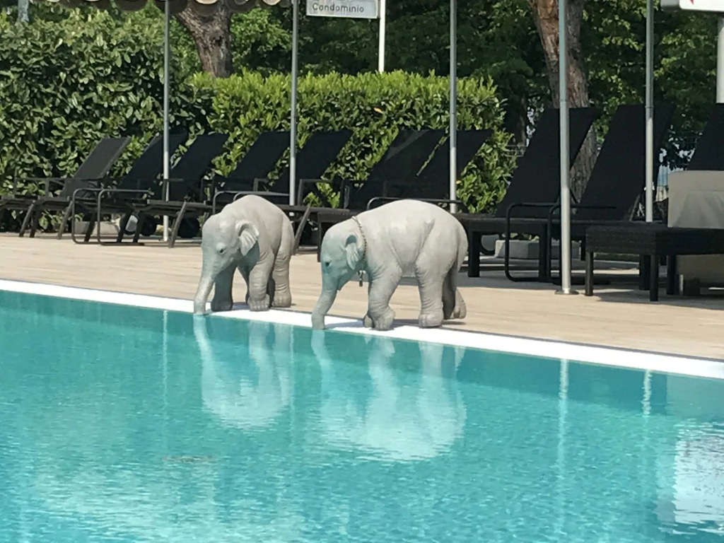 Residence Alexandra Stay