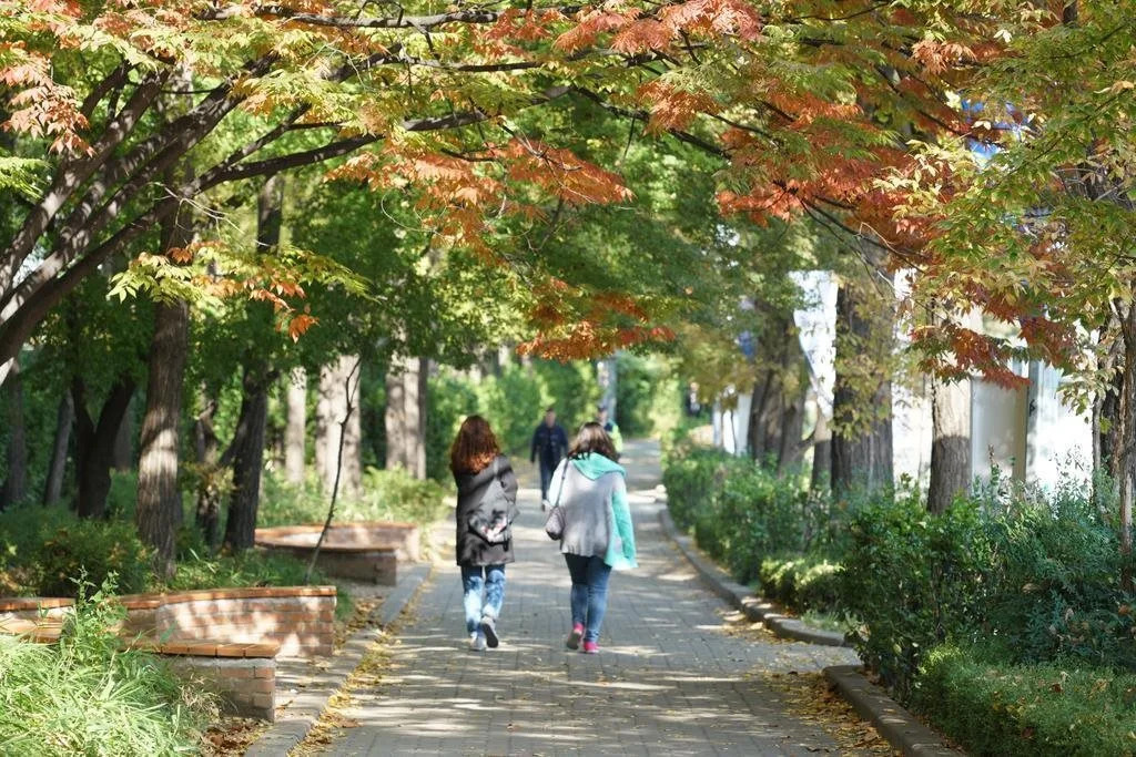 Eden Guest House Itaewon Seoul