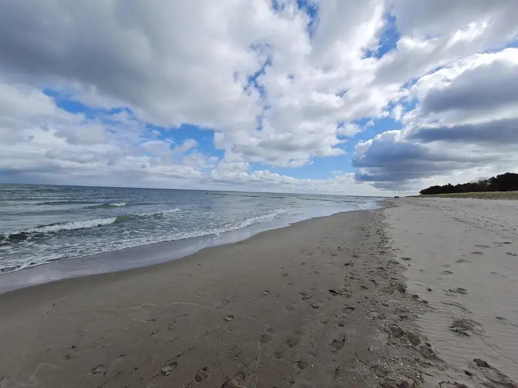 Zingst Achtern Diek 12d Elly