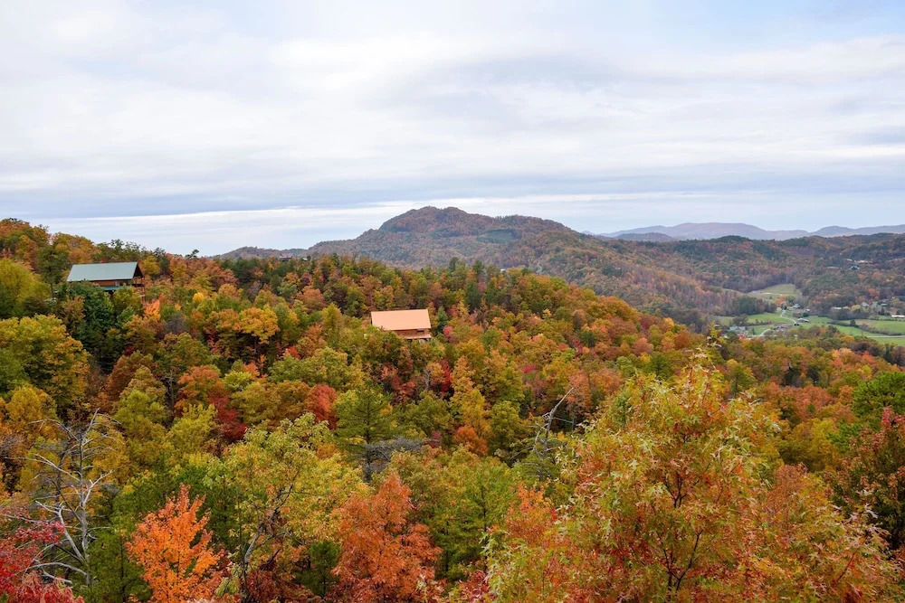 AMERICAN BEAUTY - 5 Br Cabin