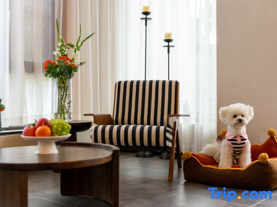 Lijiang Moye Snow Mountain View Villa Homestay (Shuhe Ancient Town Branch)