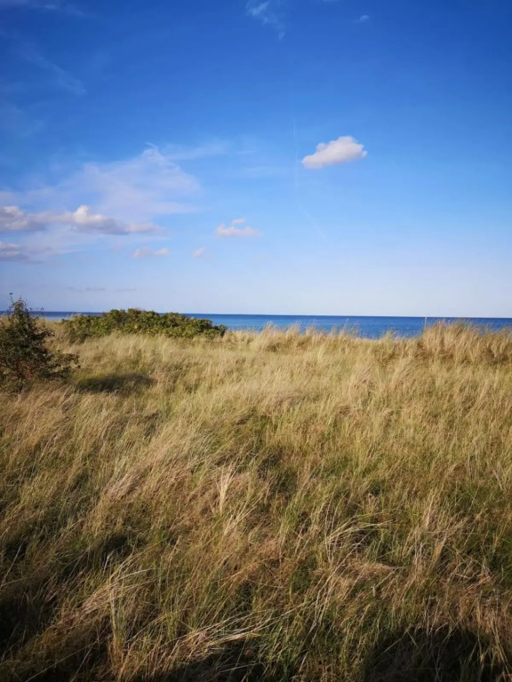 Wohlfühloase Villa Sunshine an weißem Sandstrand