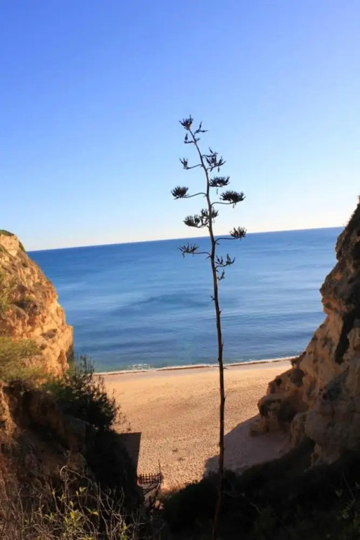 Apartment with 2 Bedrooms in Albufeira, with Shared Pool, Furnished Garden And Wifi - 800 M From the Beach