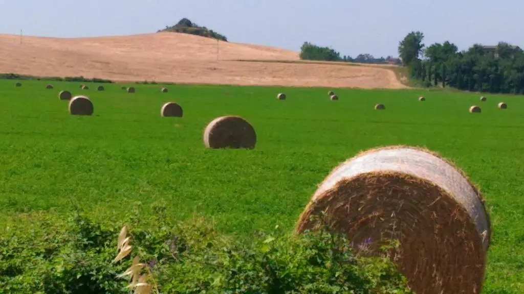 A casa di Vince Monteaperti