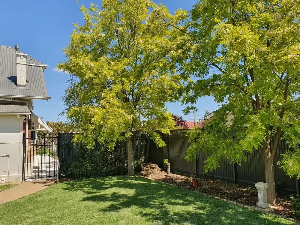 Whiterocks Tanunda Walk to Cafés Sleeps 8 Heritage