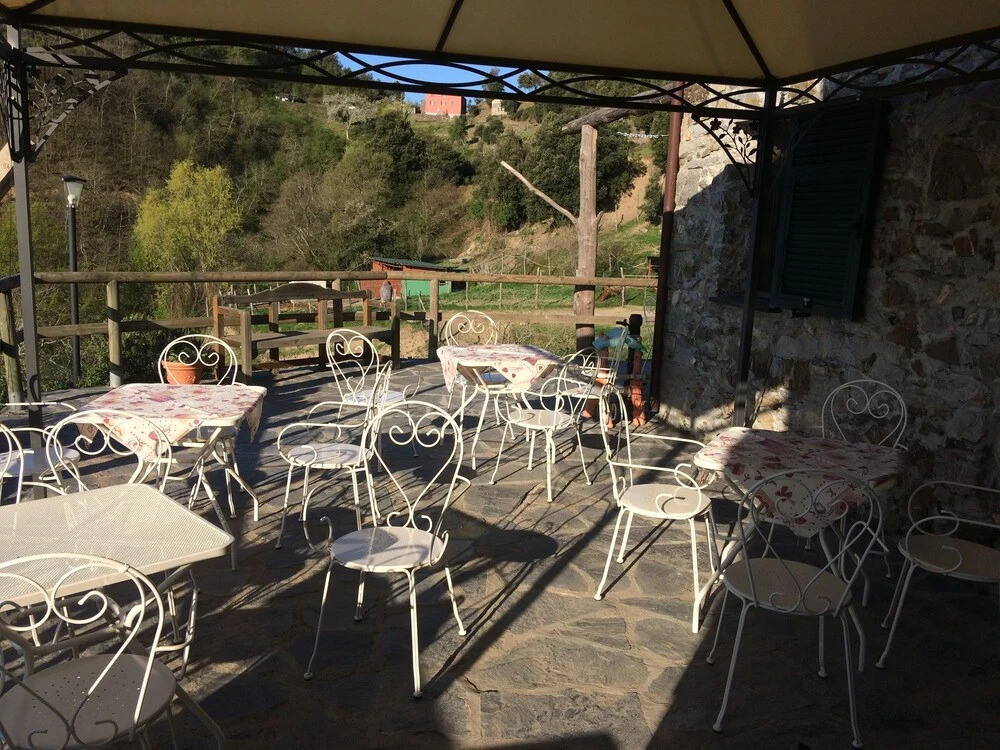 Agriturismo degli Olivi