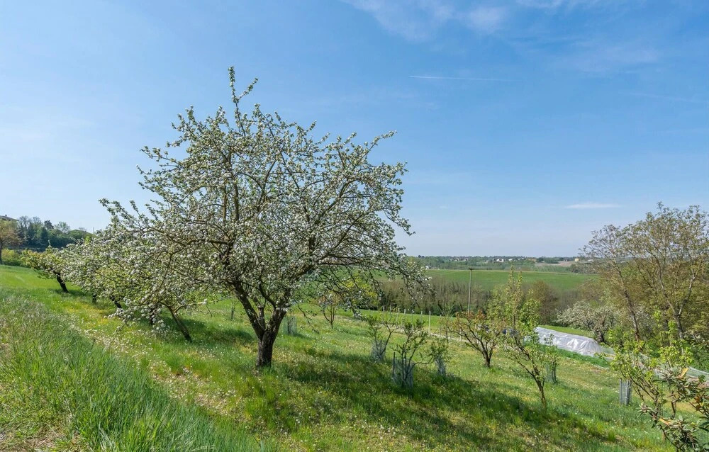 1 Bedroom Cozy Home In Ferrere