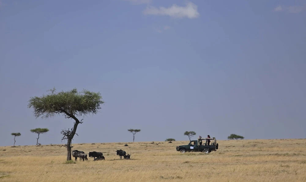 Naserian Mara Camp
