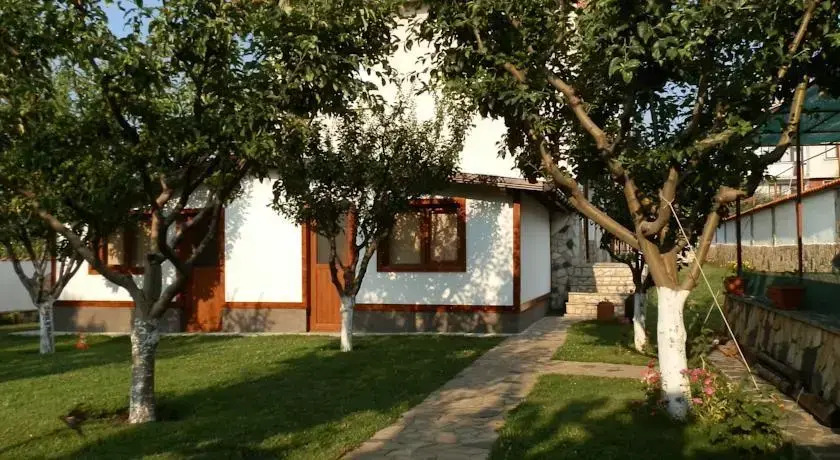 Medi Guest House
