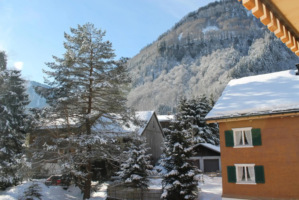 Apartment Bergblick-Mellau