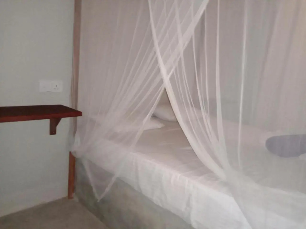 Coconut Surf Inn