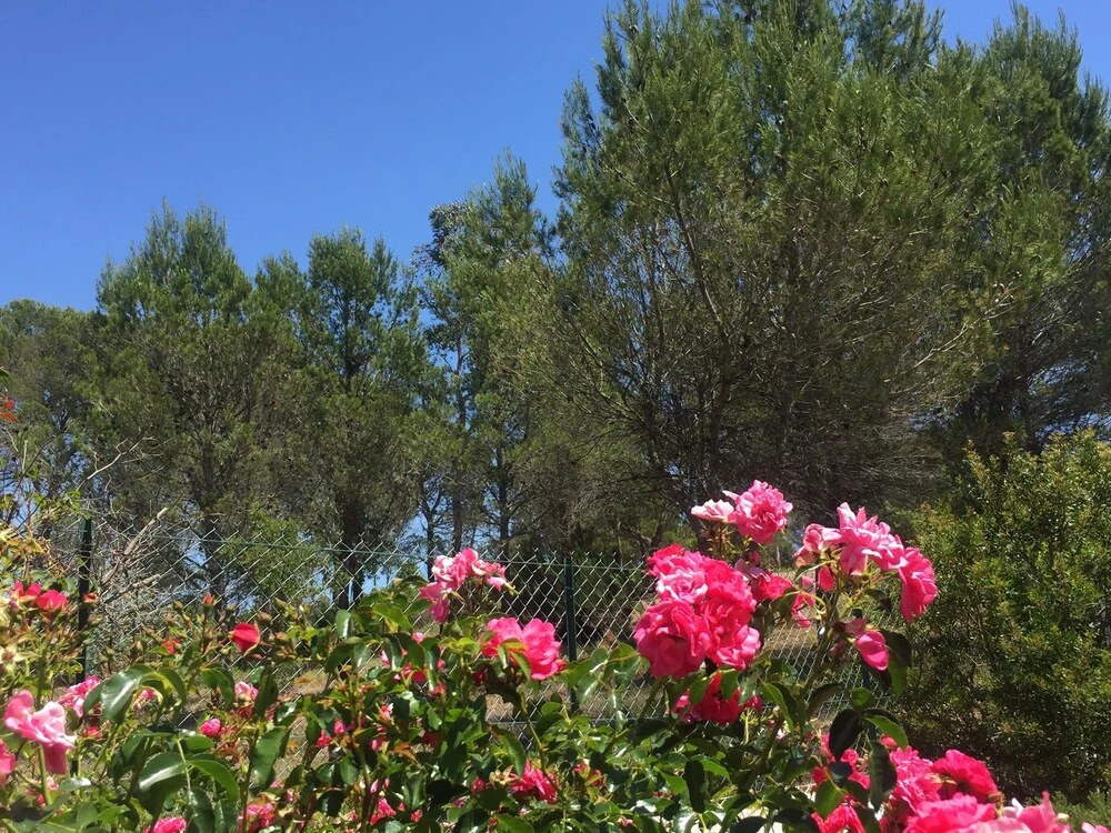 Villa St Tropez