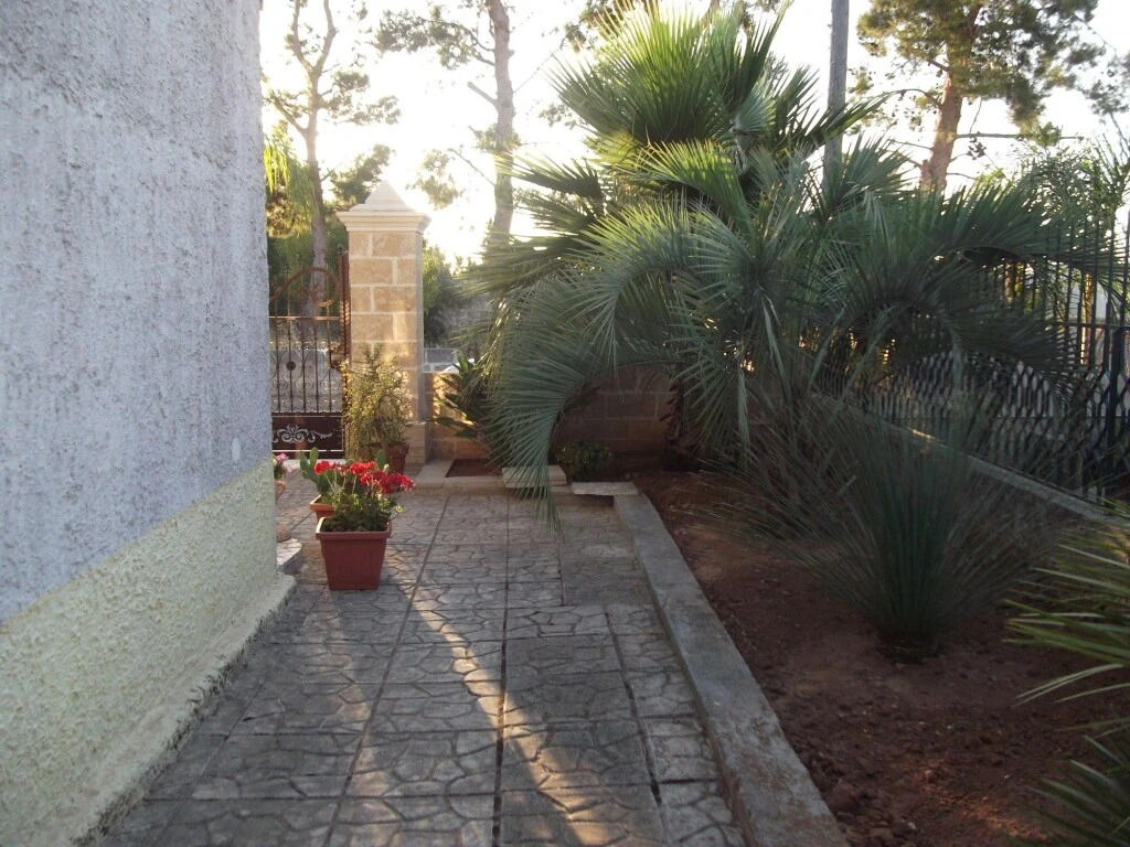 B&B Lezzi Avantgarde