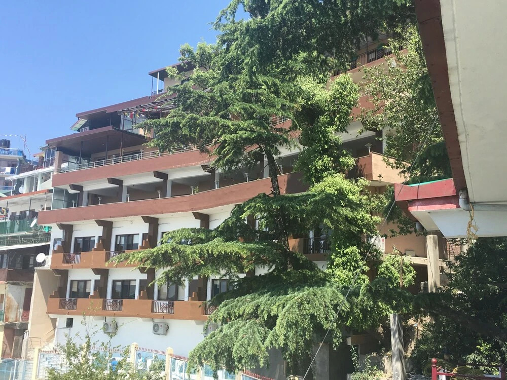 Hotel Norbu House