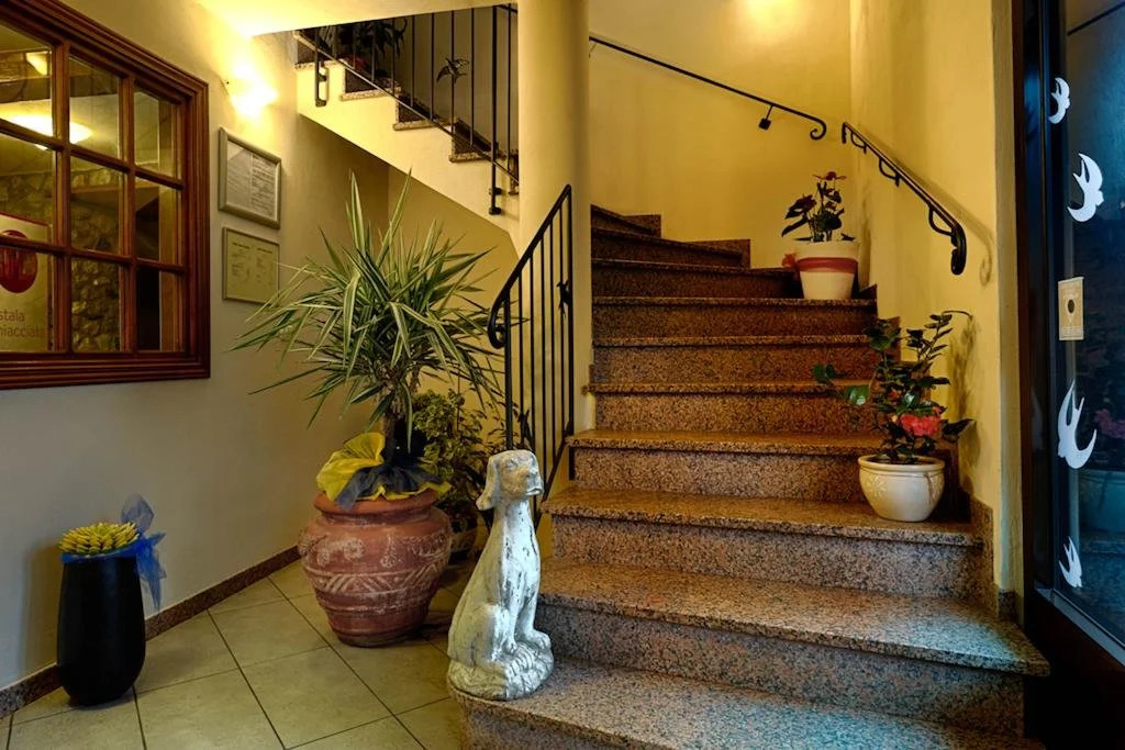 Le Rondini