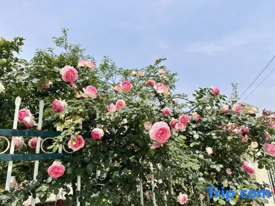 Boning Hotel (Ningbo Wanren Beach)