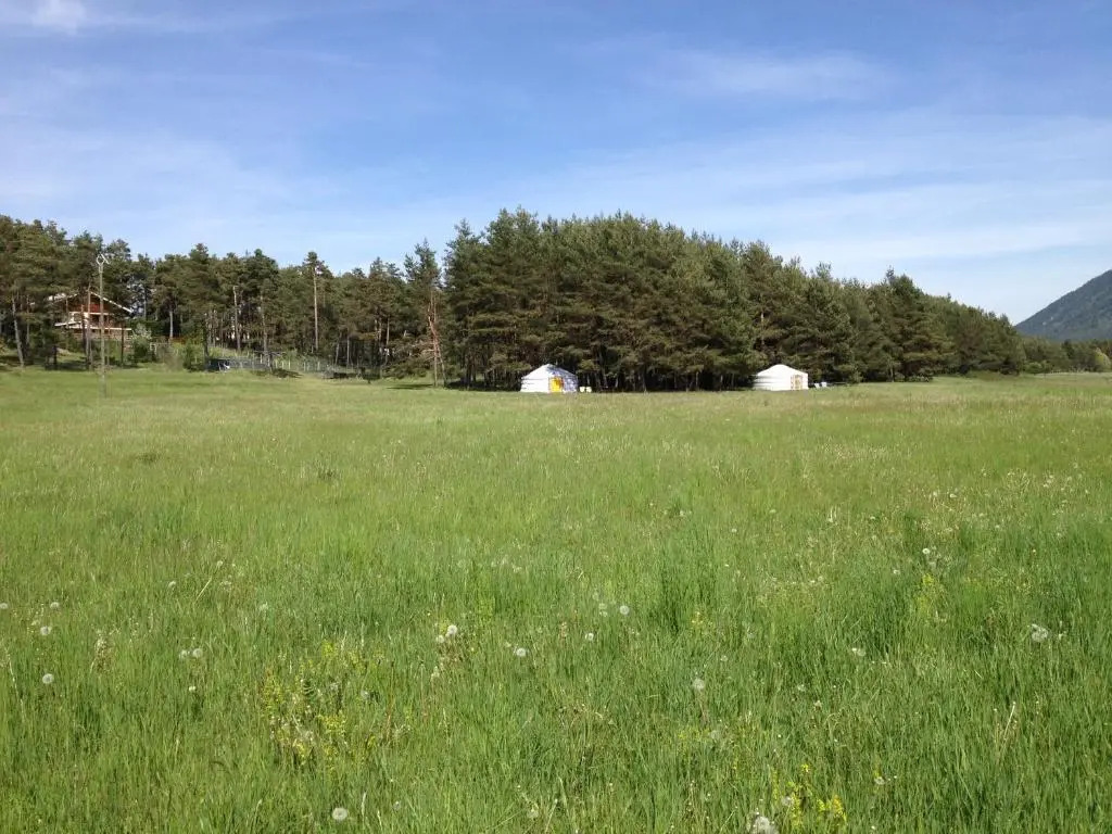 Les insolites de la bastide
