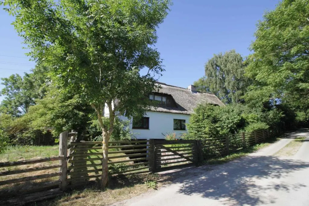 Ruegen Fewo 81