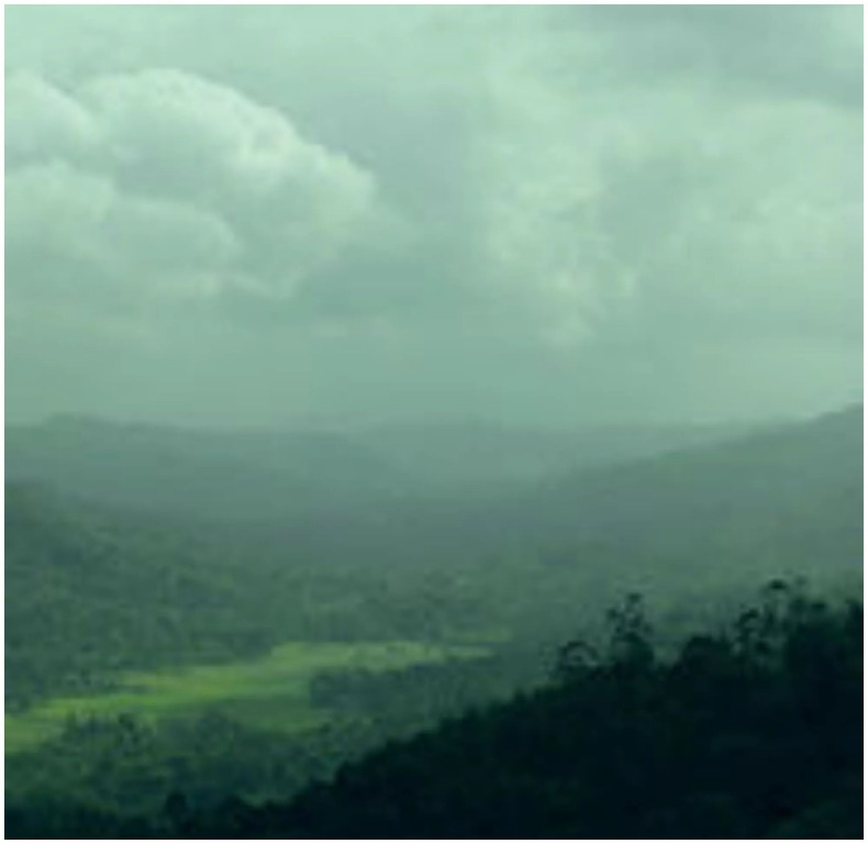 Spice Tree Munnar