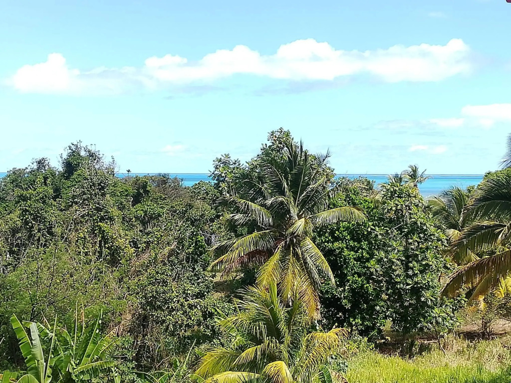 Haut de villa avec vue sur la mer