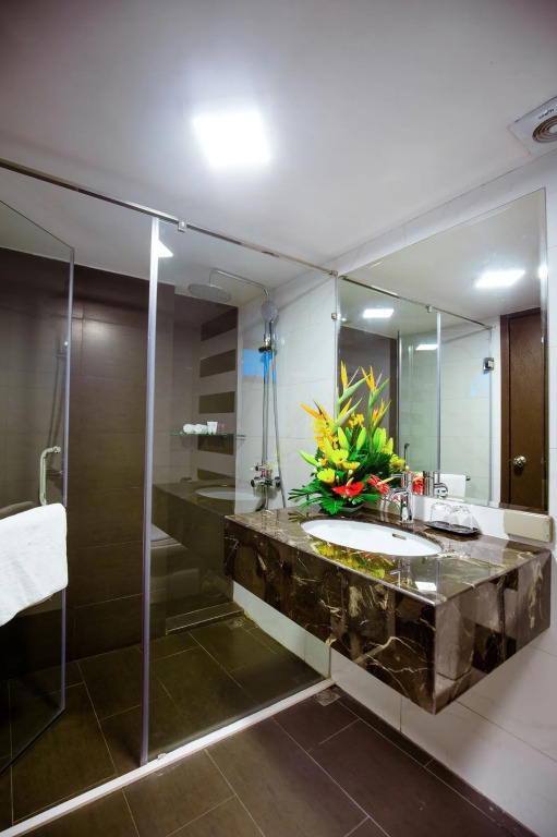 Hanoi Apartment Lion