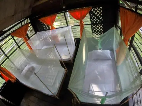 Amazon Experience Hostel