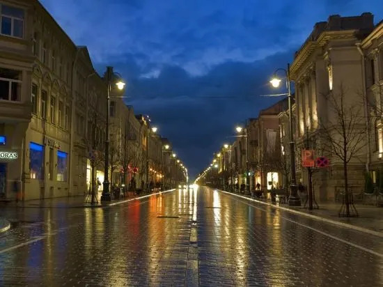 Vilnius Centre Flat