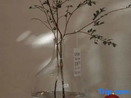 Yunting Wuxiang Seaview Art Hotel (Dali Double Corridor Branch)