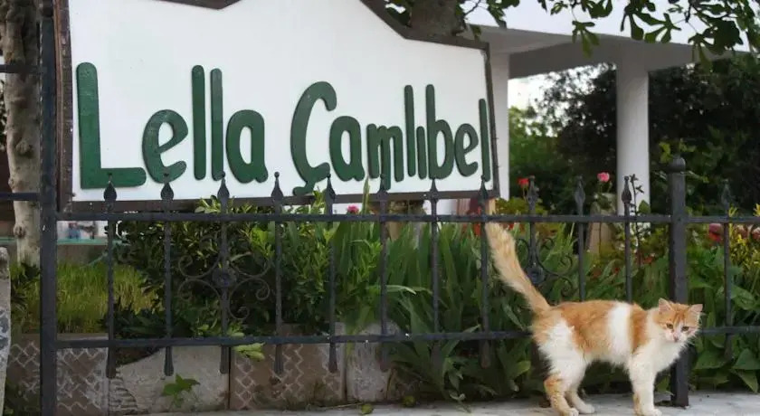 Lella Camlibel-Sut Yumurta Recel