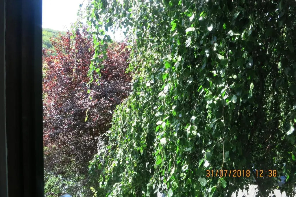 Wildgarten