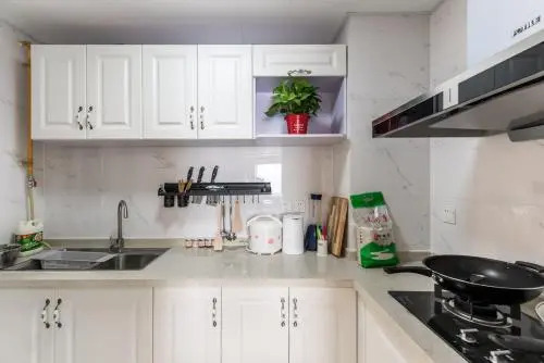 Chengdu Shuangliu·Shuangliu Airport Locals Apartment 00168830