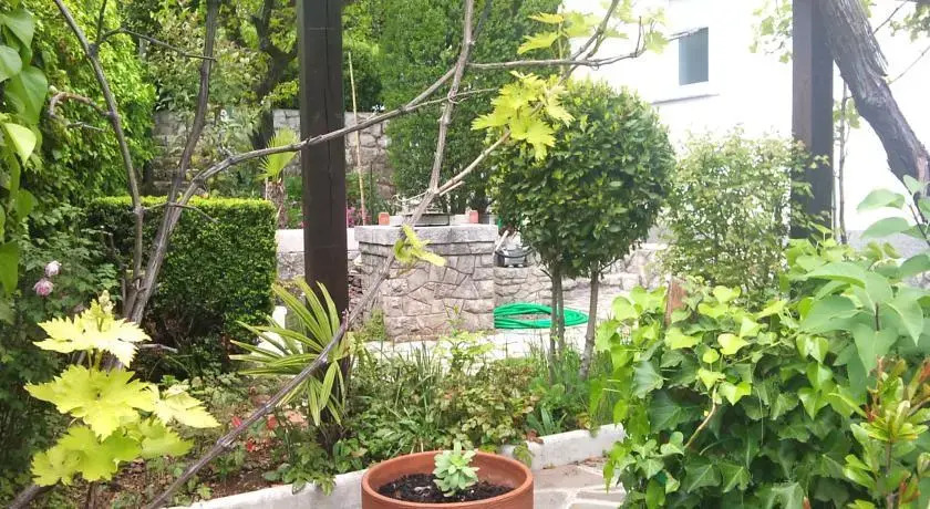 Apartments Jovic 377
