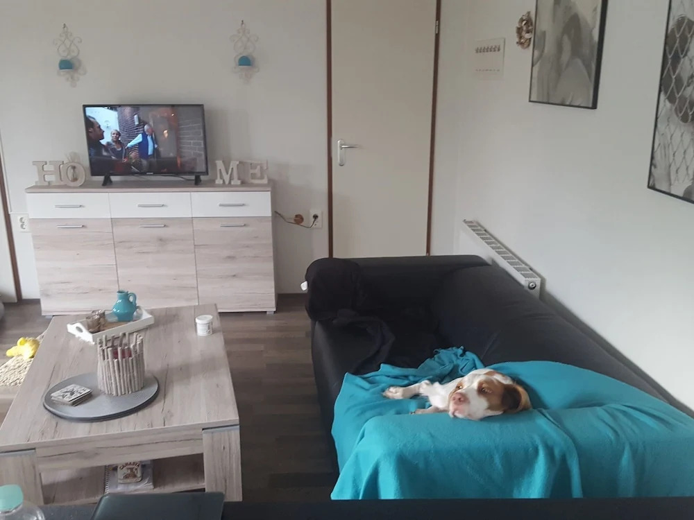 Carefully Furnished Chalet Near the Wadden Sea