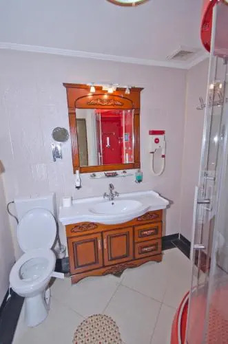 Hotel Brancusi