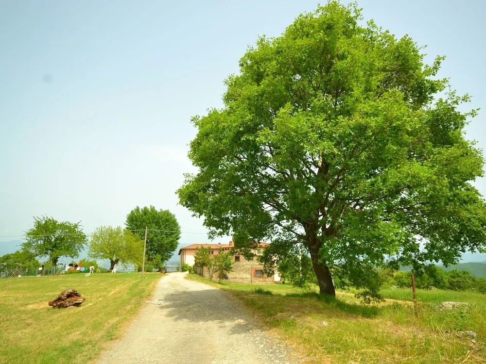 Cozy Holiday Home in Borgo San Lorenzo Tuscany With Garden