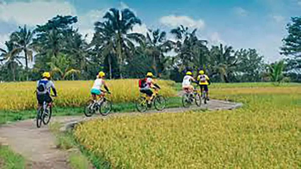 Cenik Villa Ubud