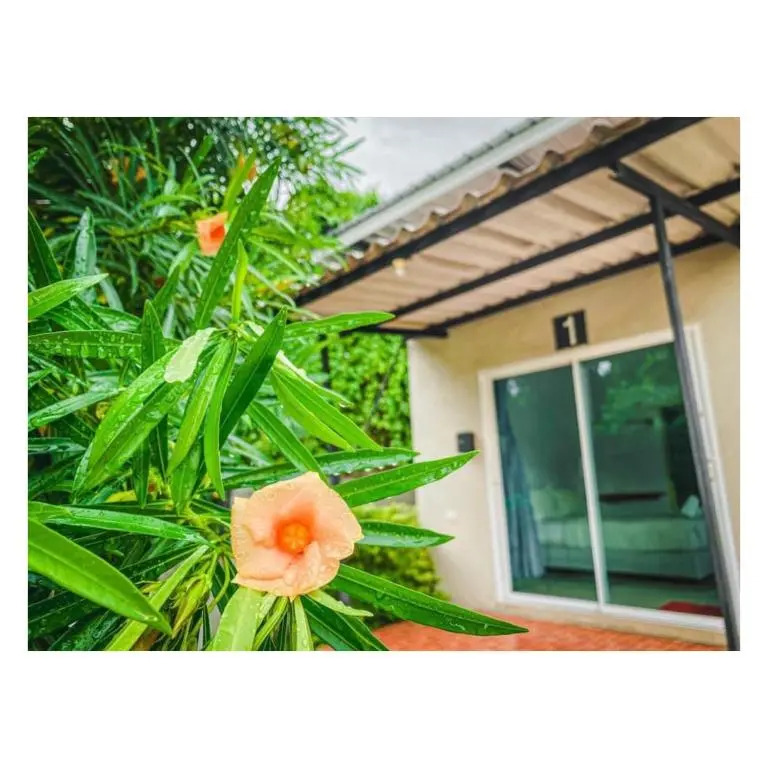 พักดีรีสอร์ท 2