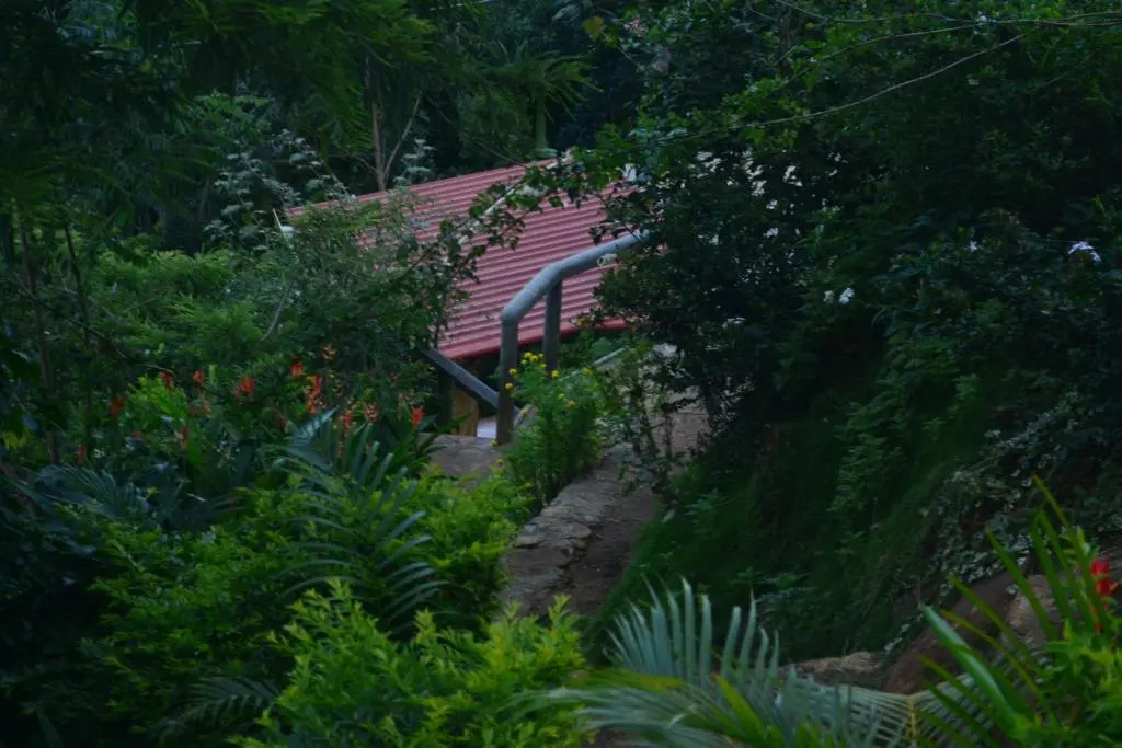 Mountain Range Cottage